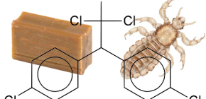 Adakah mungkin menggunakan sabun habuk untuk kutu dan telur kutu