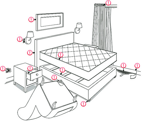يوضح الشكل الأماكن التي يجب أن تبحث فيها أولاً عن البق في الشقة