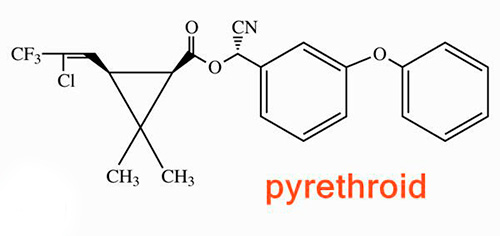 Contoh struktur kimia piretroid