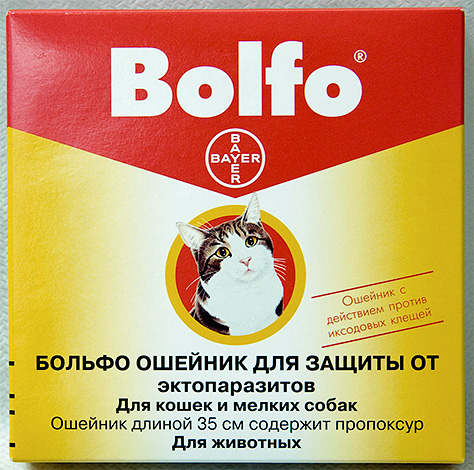 Kolar kutu Bolfo