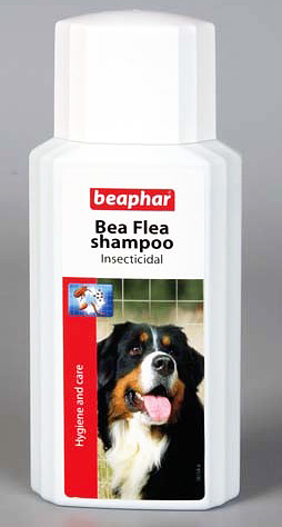 شامبو Beaphar Flea باهظ الثمن ، ولكنه فعال وآمن للكلاب