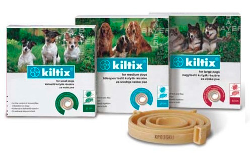 أطواق البراغيث Kiltix