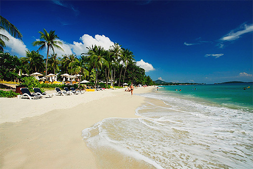 Hotel yang menghargai diri sendiri di Vietnam dan Thailand mengambil serius tentang kebersihan pantai mereka.