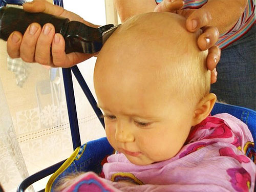 Mencukur rambut kepala masih merupakan cara paling berkesan dan terpantas untuk menghilangkan kedua-dua kutu dan telur kutu.