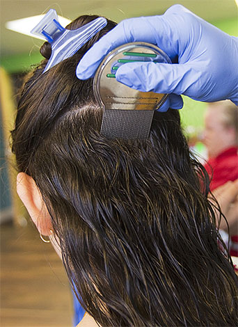 Selepas mencuci rambut anda dengan syampu racun serangga khas, adalah dinasihatkan untuk menyikat kutu dan telur kutu dengan sikat tambahan