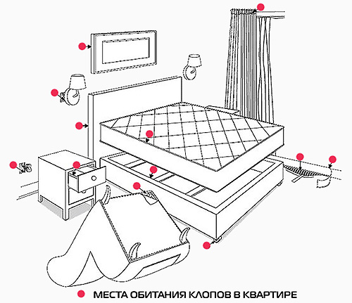 تُظهر الصورة الأماكن في الشقة حيث يجب أن تبحث عن البق في المقام الأول.