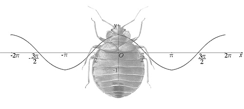 Keberkesanan repeller resonans magnetik bedbugs sama seperti tidak disahkan dalam amalan, seperti keberkesanan repeller ultrasonik.