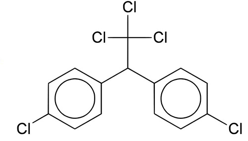 Racun DDT, walaupun ia menjejaskan pepijat, juga amat berbahaya bagi manusia.