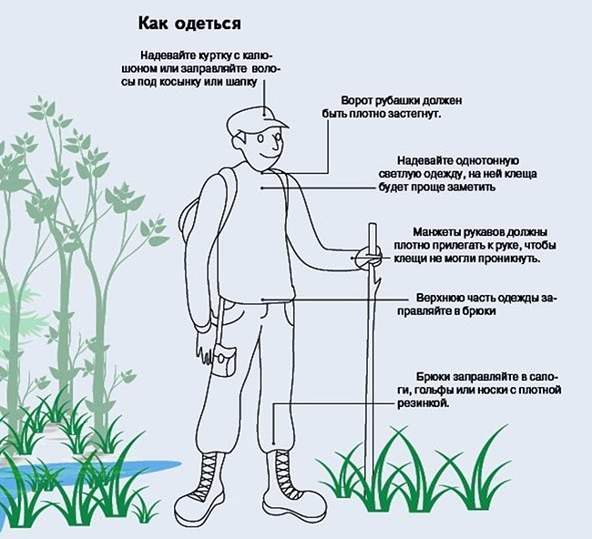 Cara berpakaian untuk perlindungan kutu di hutan