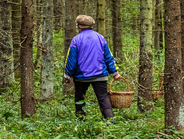 Pakaian yang sesuai untuk mendaki di dalam hutan